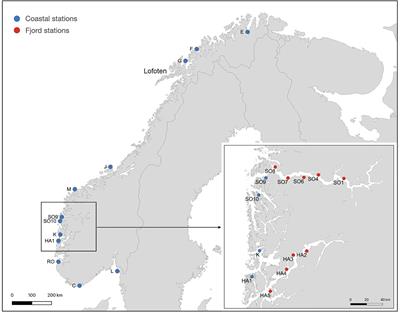 Going With the Flow – Population Genetics of the Kelp Saccharina latissima (Phaeophyceae, Laminariales)